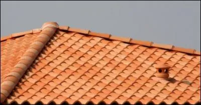 Si vous mélangez les lettres de ce qui est représenté sur la photo, vous obtenez...