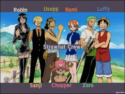 Qui est le premier pirate à avoir rejoint l'équipage de Luffy ?