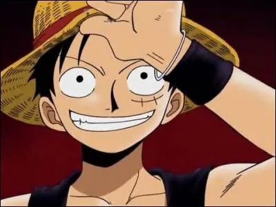 Comment Luffy a-t-il eu une cicatrice sous l'il ?