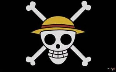 Comment est le drapeau de Luffy ?