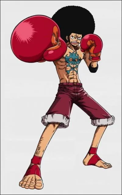 Pourquoi Luffy était-il dans cette tenue ?