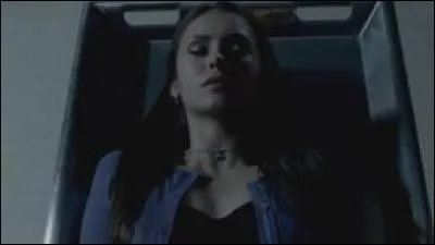 Avec le sang de qui Elena devient-elle un vampire ?