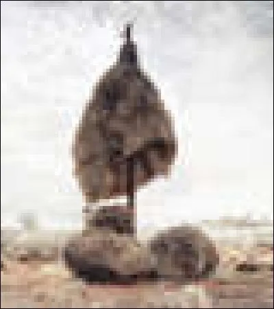 Quel l'oiseau fait ce type de nid ? (image)