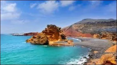 Quel oiseau découvert sur les îles des Canaries fut exterminé par l'homme ?