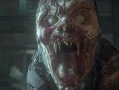 Quel est le régime alimentaire de ces créatures ?