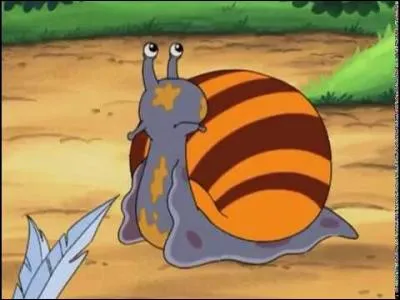 Comment s'appelle l'escargot ?