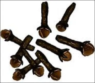 Originaire d'Indonésie, ce clou est un puissant antiseptique. On l'utilise en cuisine et il peut servir de parfum d'ambiance mais savez-vous où pousse le clou de girofle ?