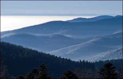 De quelle couleur est la Ligne des Vosges, représentant la délimitation, la frontière derrière laquelle se trouvaient l'Alsace et une partie de la Lorraine, après qu'elles furent conquises par les Allemands ?