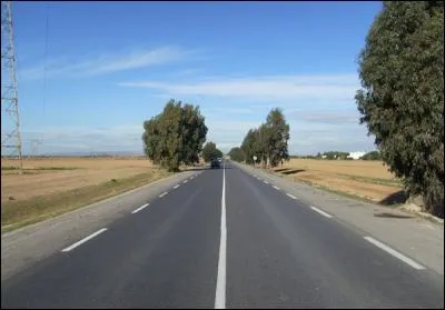Dans le domaine de la signalisation routière horizontale en France, une ligne continue :