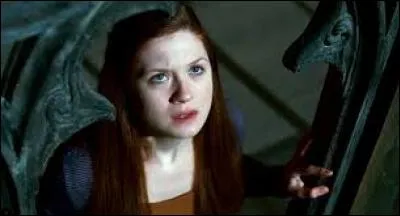 Qui est la femme de Harry Potter ?