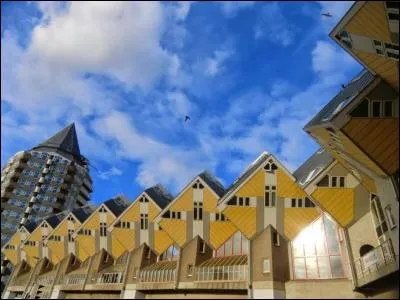 Ces maisons cubiques sont assez (d)étonnantes, n'est-ce pas ? Où allez-vous les trouver ?