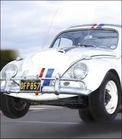 Quel est le numéro de Choupette, la plus connue des Coccinelles ?