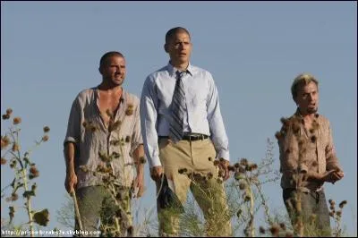 L , que sont en train de voir t-bag , scofield et burrows ?