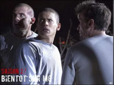 Sur cette photo , qu'aperoivent-ils ?