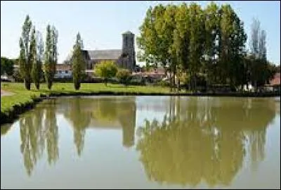Commune de l'arrondissement des Sables-d'Olonne, Palluau se situe dans le d&eacute;partement ...