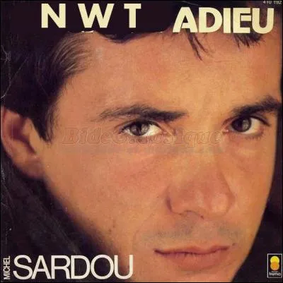 Le quiz est bientôt fini, mais je ne suis pas sûre que ce soit bien à nwt que Sardou dise adieu... Qui a-t-elle remplacé ?