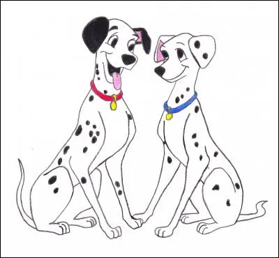 Comment s'appellent les deux dalmatiens adultes ?