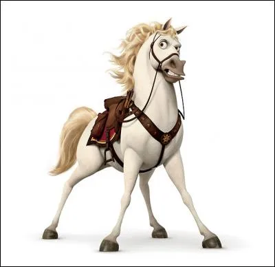 Comment s'appelle ce cheval ?