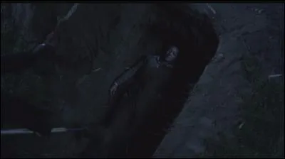 Dans le jardin de qui Madame DiLaurentis est-elle enterrée ?