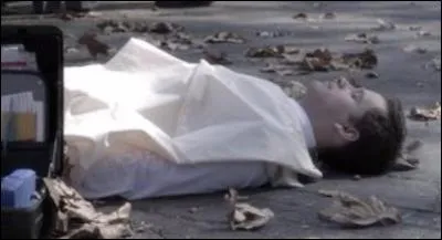 Qui a tué l'agent Wilden ?