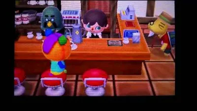 Comment travailler pour Robusto ?