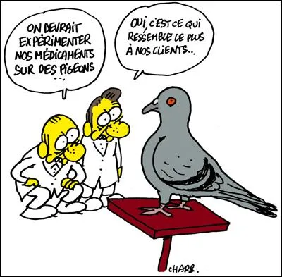 Quels animaux ont été les premiers à faire les frais de l'expérimentation animale au milieu du XVIIe siècle ?