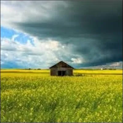 En quoi consiste la série évoquée par cette photo ?