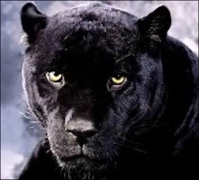 Quel est le pouvoir du personnage principal de la série évoquée par cette photo ?