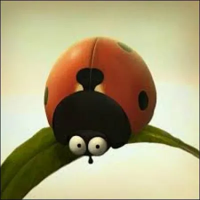Quelle est cette série d'animation qui raconte la vie privée des insectes ?