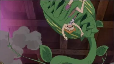 Dans quel endroit du bateau Usopp cultive-t-il ses Pop Green ?