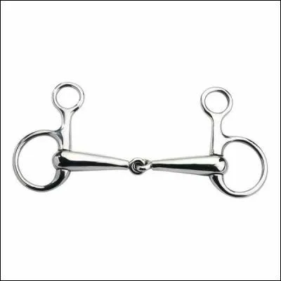 Quel est le nom de ce mors ?