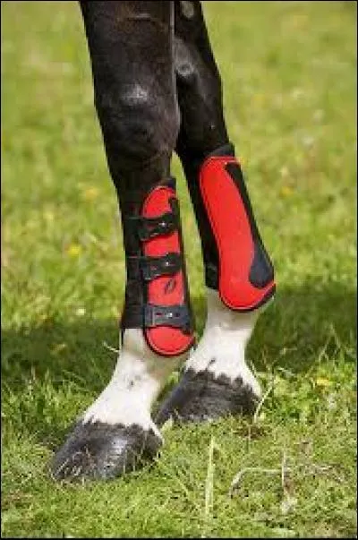 Dans quel ordre doit-on fermer les guêtres ?