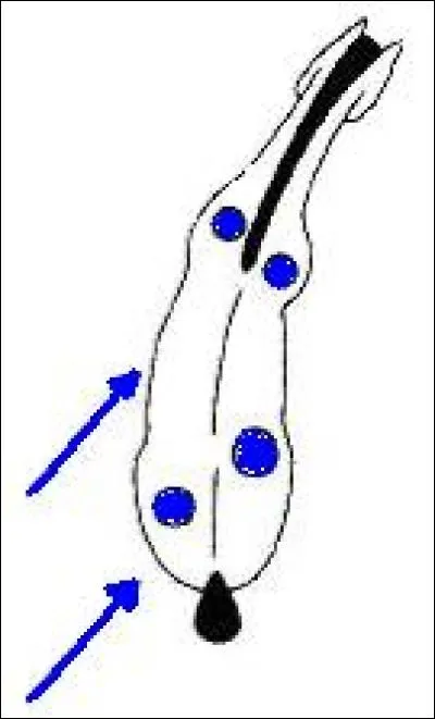 Faut-il faire les incurvations dans les coins ?