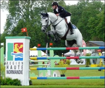 Qu'est-ce que le "SIRE" ?