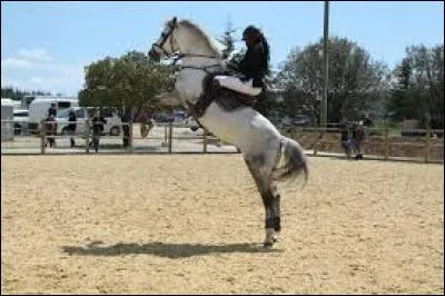 Si un cheval se cabre sans que je ne lui demande, je...