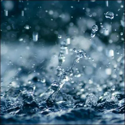 À qui doit-on la plus belle interprétation de la chanson "I Can't Stand the Rain" ?