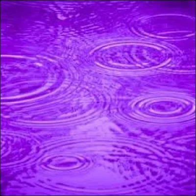 Qui a composé intégralement la bande originale du film "Purple Rain" (1984) ?