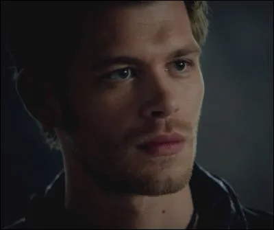 De quoi Klaus a-t-il besoin pour créer des hybrides ?