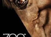 Quiz Zoo - Saison 1 - Les personnages