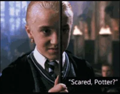 Dans quelle maison Drago est-il choisi ?