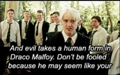 Comment appelle-t-il Ron dans la Chambre des secrets ?