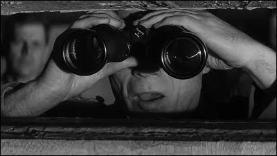 Dans le film "Le Jour le plus long", le major Pluskat voit arriver "Zur lui, direkt" environ 5000 navires. Une toute autre version le place au petit matin du 6 juin :