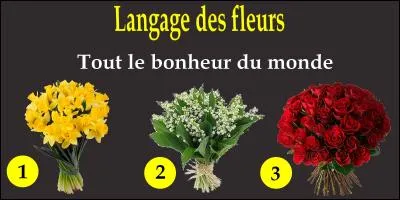 Si vous lui souhaitez "Tout le bonheur du monde". Quel bouquet allez-vous choisir ?
