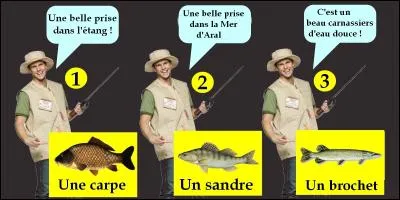 Quel pêcheur est un menteur ?