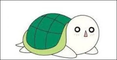 Comment s'appelle la tortue de Seiji ?