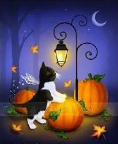 Arbre d'Amérique tropicale, au bois très sombre et très lourd :