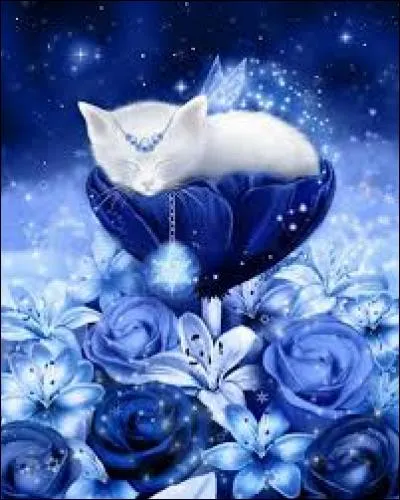 Tremplin de neige utilisé pour le ski freestyle ou le snowboard :