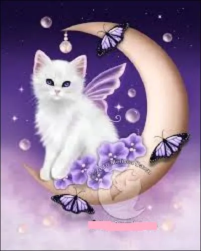 En duo avec "hip", style musical et style de vie des années 1980 :