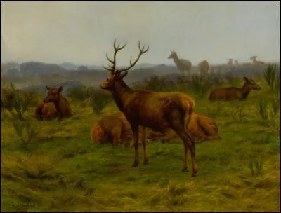 Qui a peint ce cerf ?