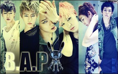 Que veut dire le nom du groupe "B.A.P" ?